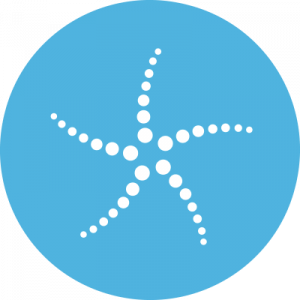 Blockchain Capital BCAP